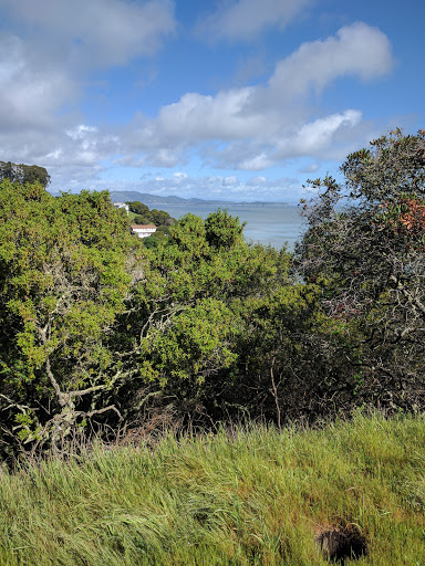 Nature Preserve «Tiburon Uplands Preserve», reviews and photos, 3079 Paradise Dr, Belvedere Tiburon, CA 94920, USA