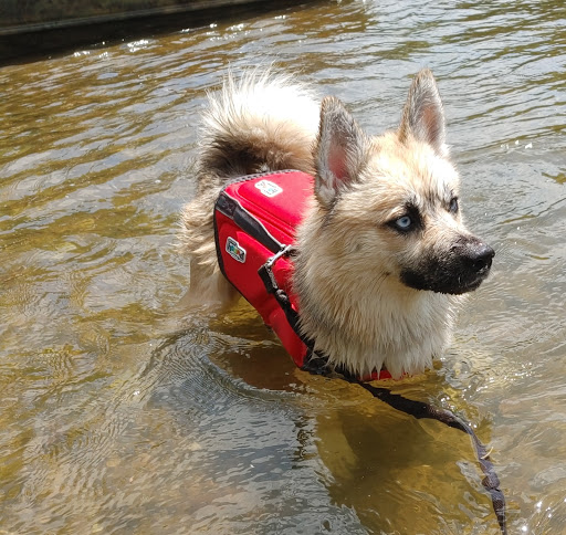 Pet Supply Store «Pet Supplies Plus», reviews and photos, 311 Sagamore Pkwy N, Lafayette, IN 47904, USA