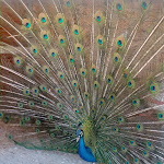 Photo n°1 de l'avis de ciro.o fait le 10/07/2022 à 14:39 sur le  Agriturismo La Casetta in campagna à Atri