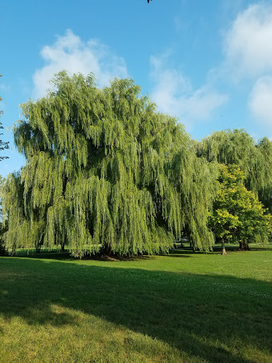 Park «Winnemac Park», reviews and photos, 5100 N Leavitt St, Chicago, IL 60625, USA