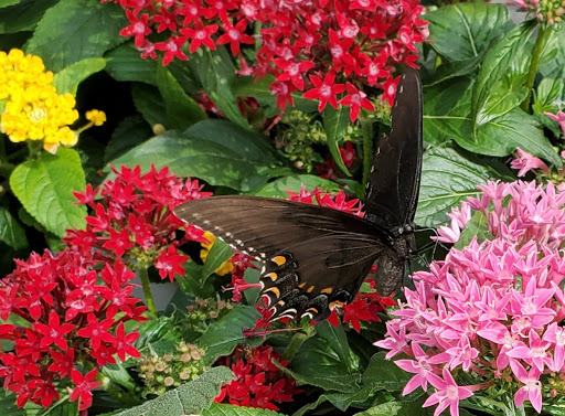 Home Improvement Store «The Home Depot», reviews and photos, 8729 Liberty Rd, Randallstown, MD 21133, USA