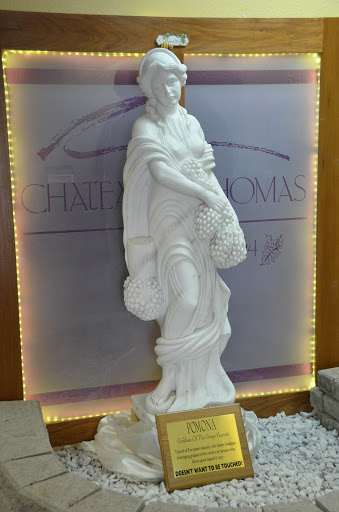 Winery «Chateau Thomas Winery», reviews and photos, 6291 Cambridge Way, Plainfield, IN 46168, USA