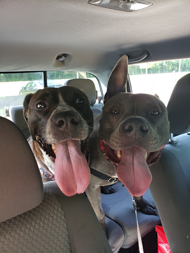 Animal Hospital «Ramey Veterinary Hospital», reviews and photos, 1009 37th St E, Tuscaloosa, AL 35405, USA