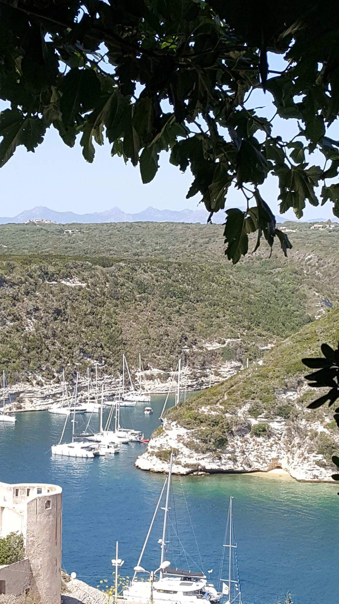 Photo n° 2 de l'avis de Naboul. fait le 22/08/2017 à 08:32