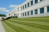 U.S. Lawns - Jacksonville NC - Photo 9 - Car repair in , Jacksonville