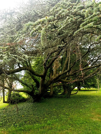 Museum «The George Washington Masonic National Memorial», reviews and photos, 101 Callahan Dr, Alexandria, VA 22301, USA