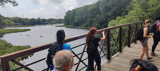 Park «Mansfield Park», reviews and photos, 85 Walker St, Massapequa Park, NY 11762, USA