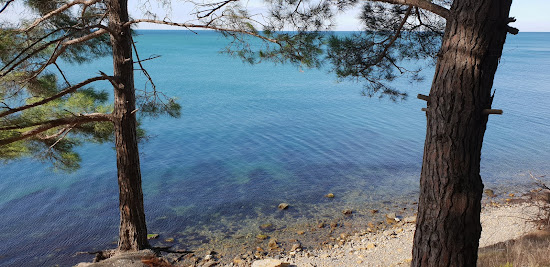 Elektron beach