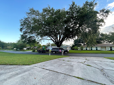 Monkey Business Tree Care Specialists 3293 Enclave Blvd, Mulberry, FL 33860