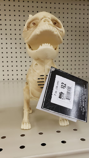 Discount Store «Big Lots», reviews and photos, 5009 Salem Ave, Trotwood, OH 45426, USA