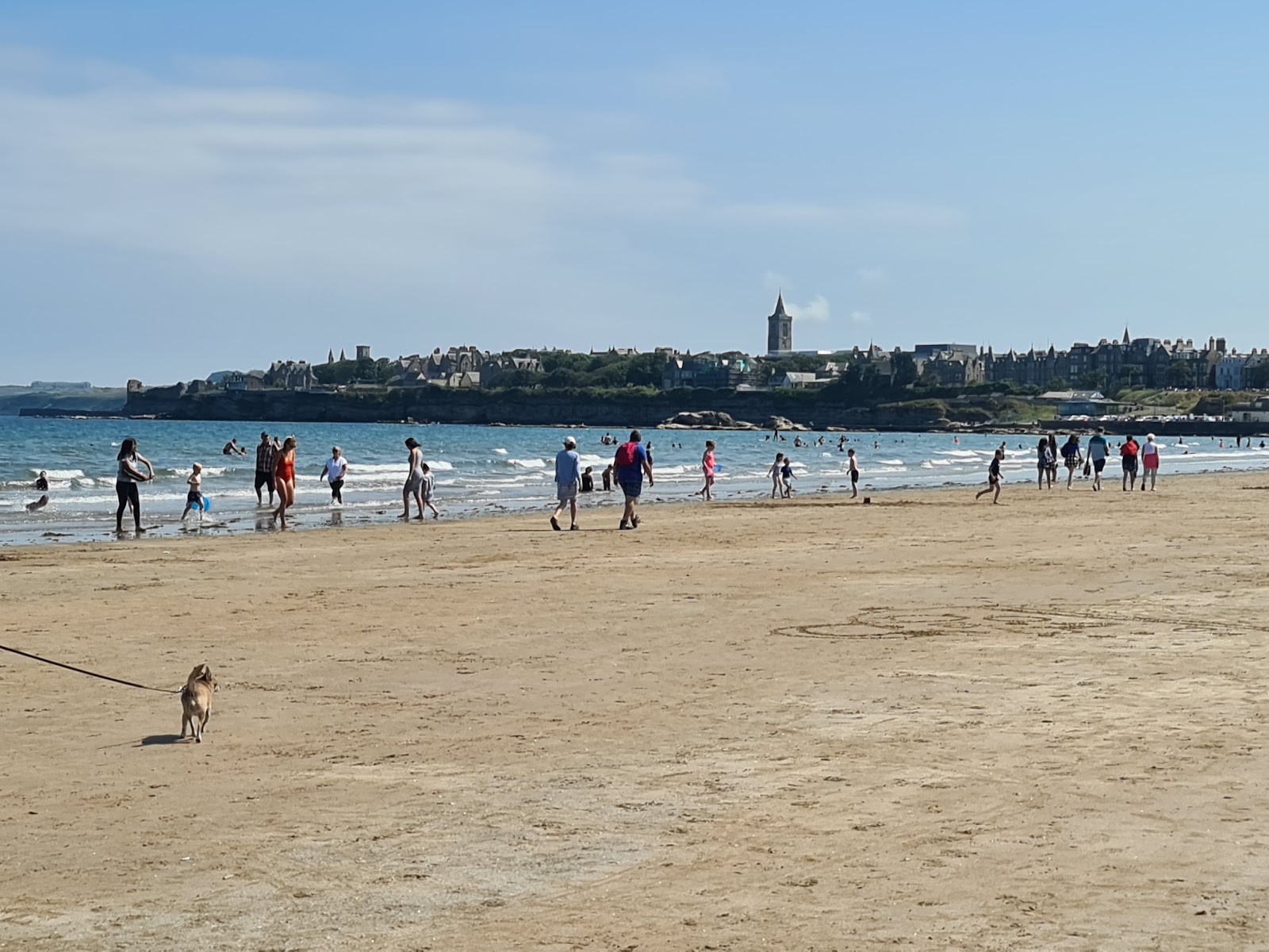 Foto de West Sands Beach - lugar popular entre os apreciadores de relaxamento