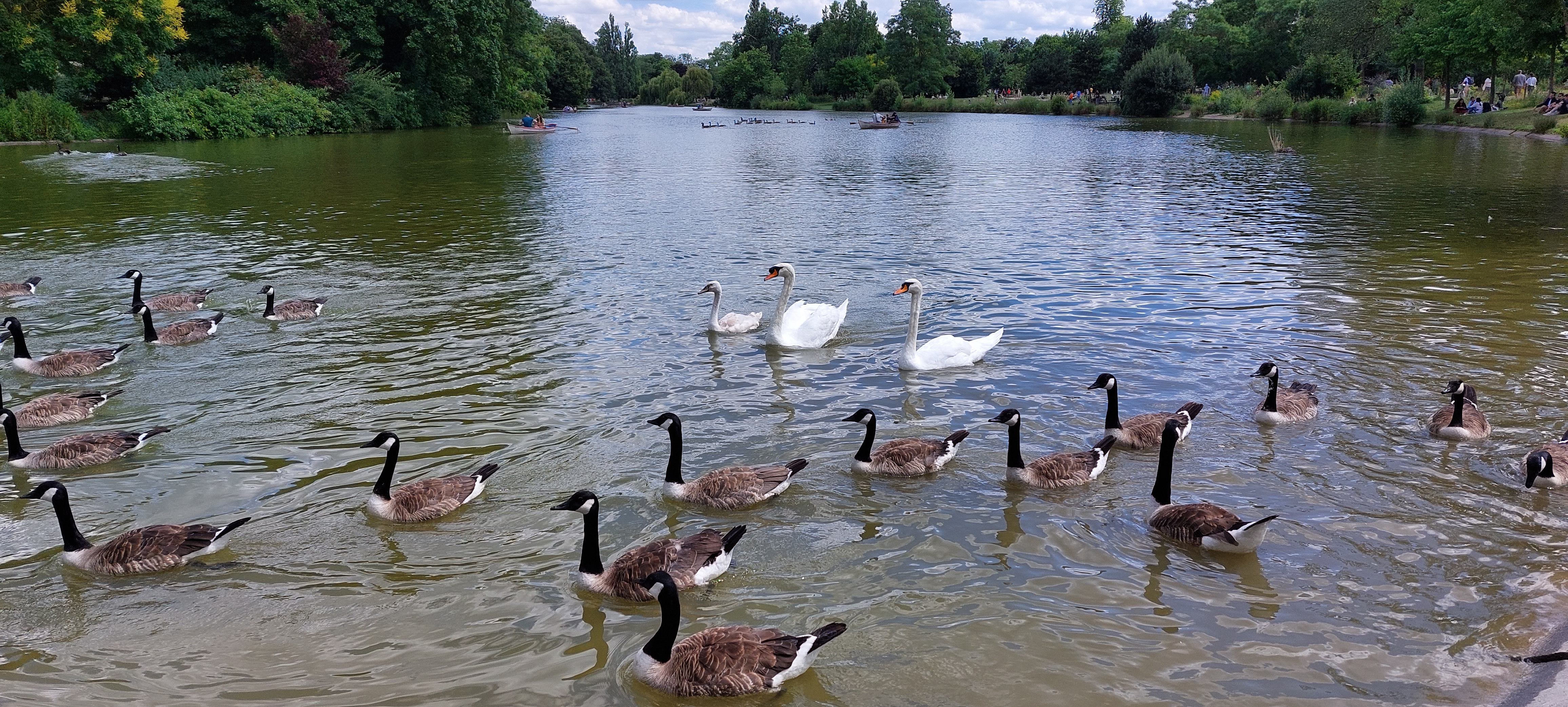 Photo n° 2 de l'avis de Aziza.l fait le 03/07/2022 à 21:20