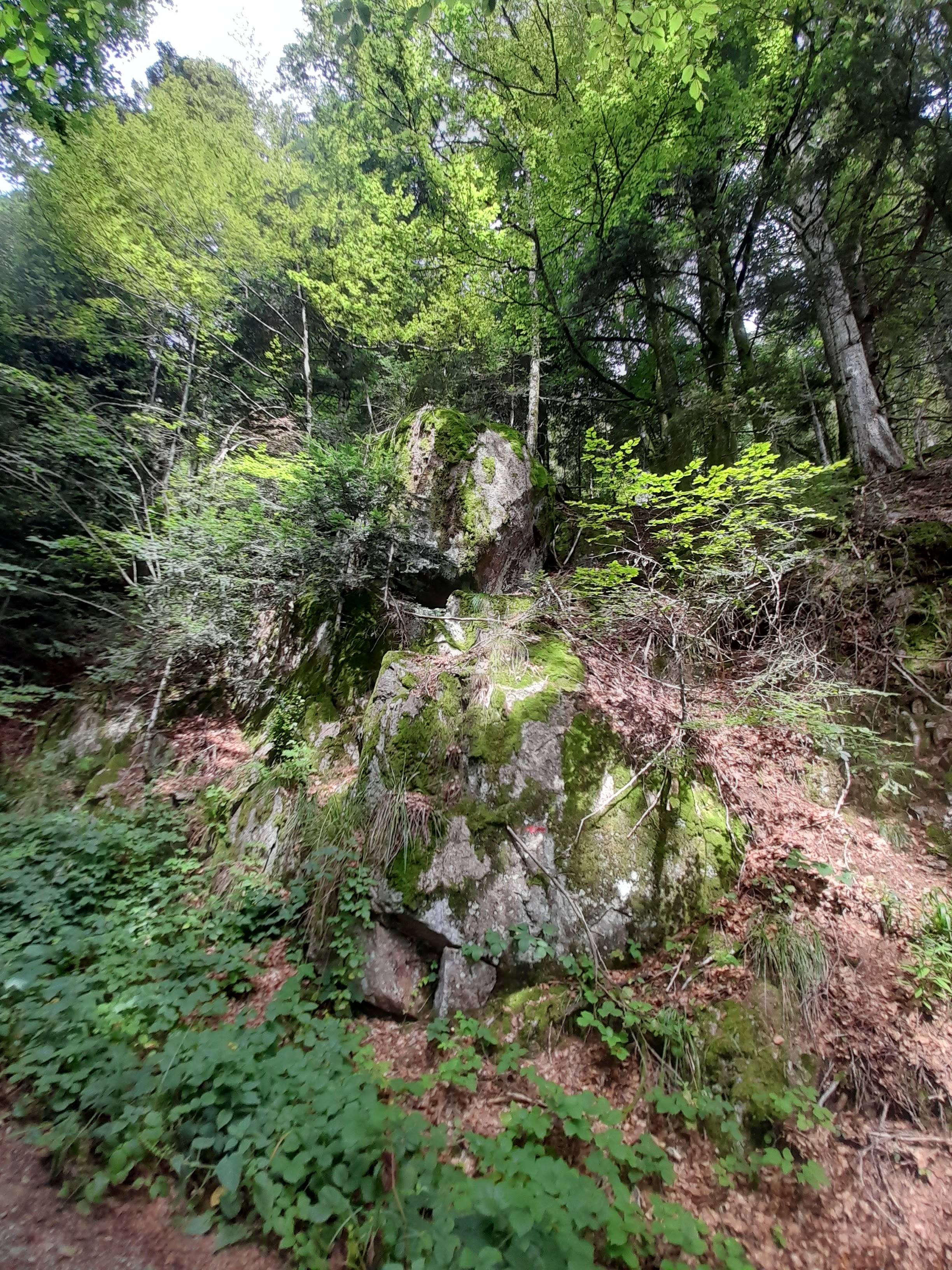 Photo n° 4 de l'avis de Graziella.i fait le 17/08/2023 à 19:20