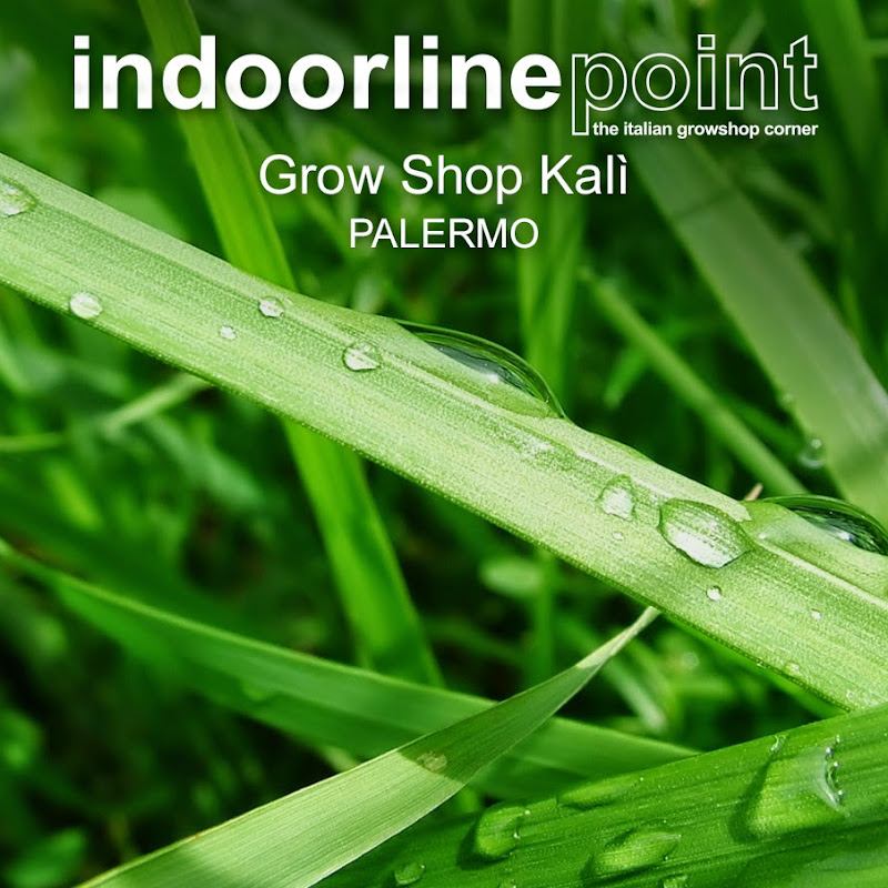 Indoorlinepoint Grow Shop Kalì - Palermo
