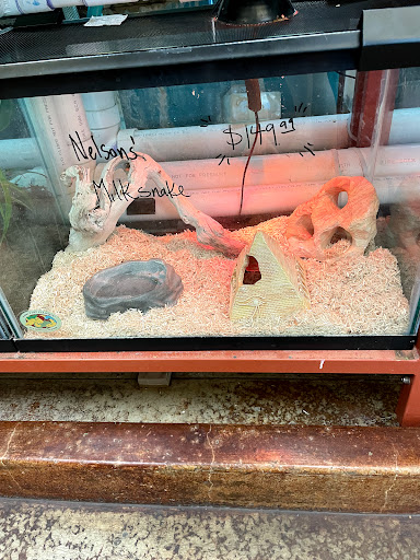 Pet Store «Animal Ark», reviews and photos, 175 S 500 E St, American Fork, UT 84003, USA