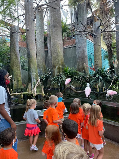 Preschool «Suncoast Academy: South Tampa Preschool», reviews and photos, 4207 W San Miguel St, Tampa, FL 33629, USA