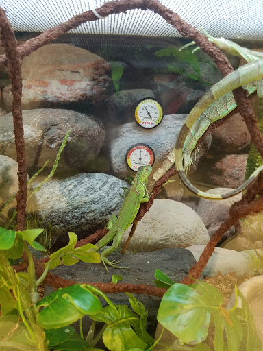 Pet Supply Store «Petco Animal Supplies», reviews and photos, 2131 Pleasant Hill Rd, Duluth, GA 30096, USA