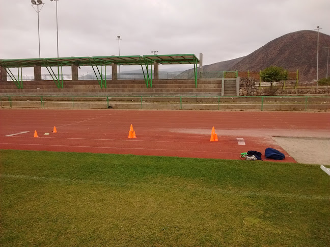 Opiniones de Complejo Deportivo Los Llanos en La Serena - Campo de fútbol