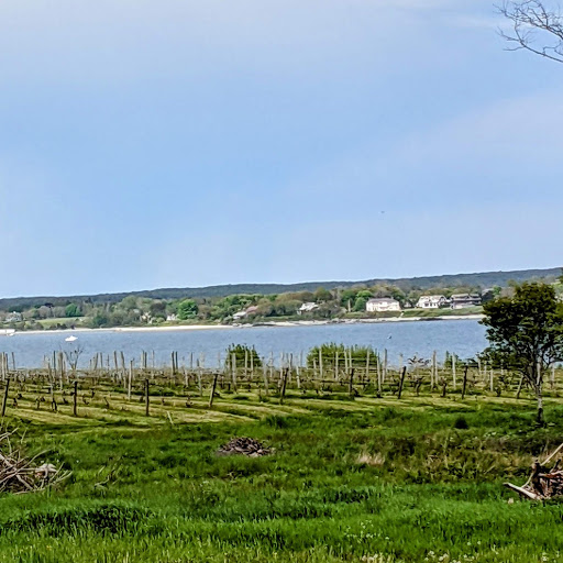 Vineyard «Greenvale Vineyards», reviews and photos, 582 Wapping Rd, Portsmouth, RI 02871, USA
