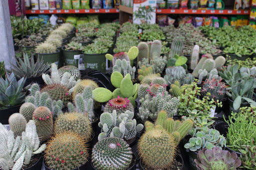 Home Improvement Store «The Home Depot», reviews and photos, 2551 S Interstate Hwy 35, Round Rock, TX 78664, USA