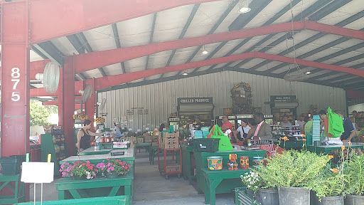 Produce Market «Nelson Family Farms», reviews and photos, 875 W Midway Rd, Fort Pierce, FL 34982, USA