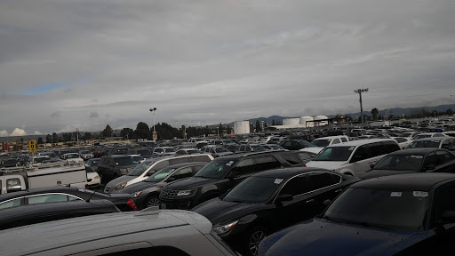 Auto Auction «Manheim California», reviews and photos, 1320 N Tustin Ave, Anaheim, CA 92807, USA