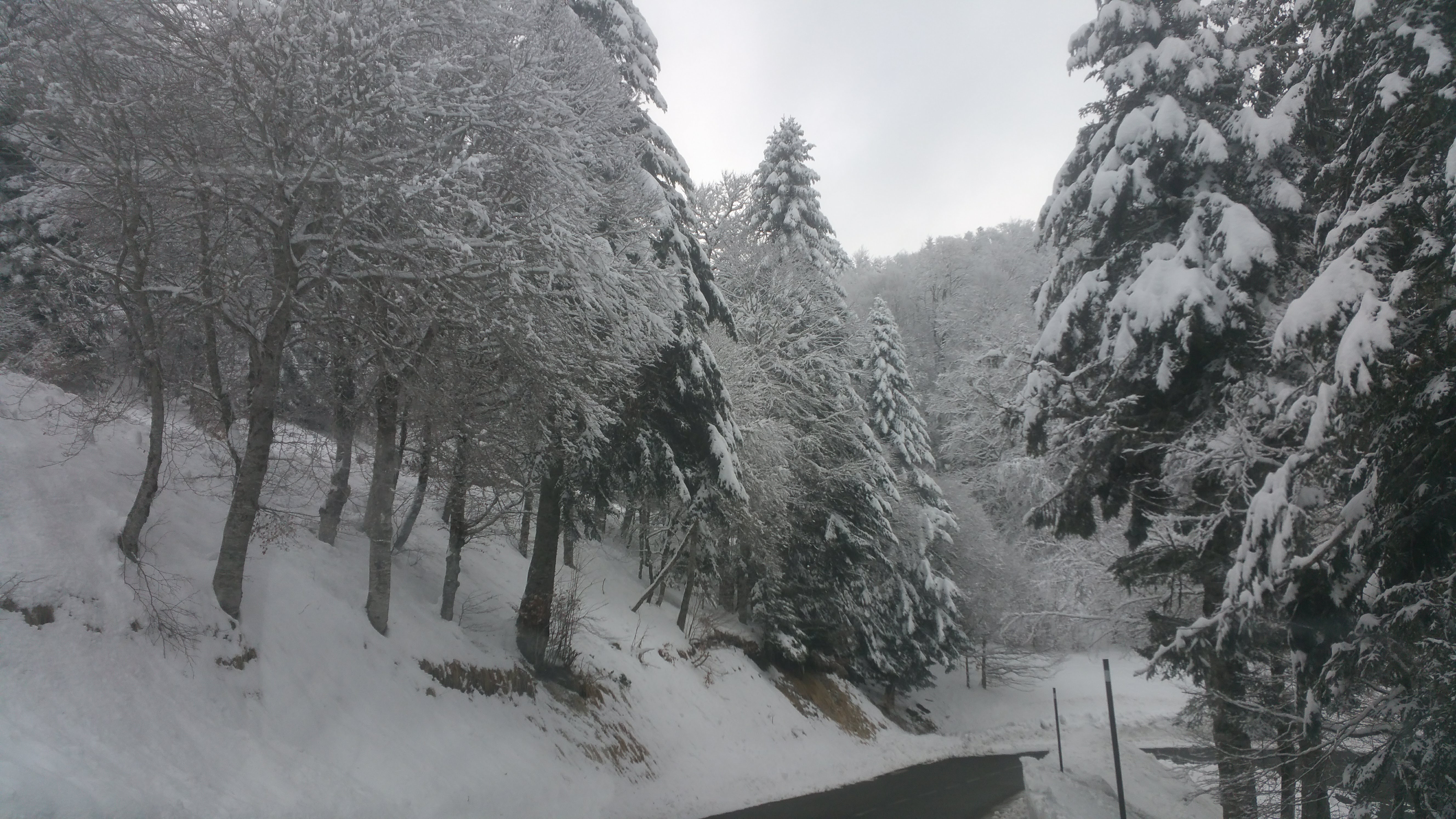Photo n° 8 de l'avis de Jean-Louis.G fait le 23/02/2018 à 23:01
