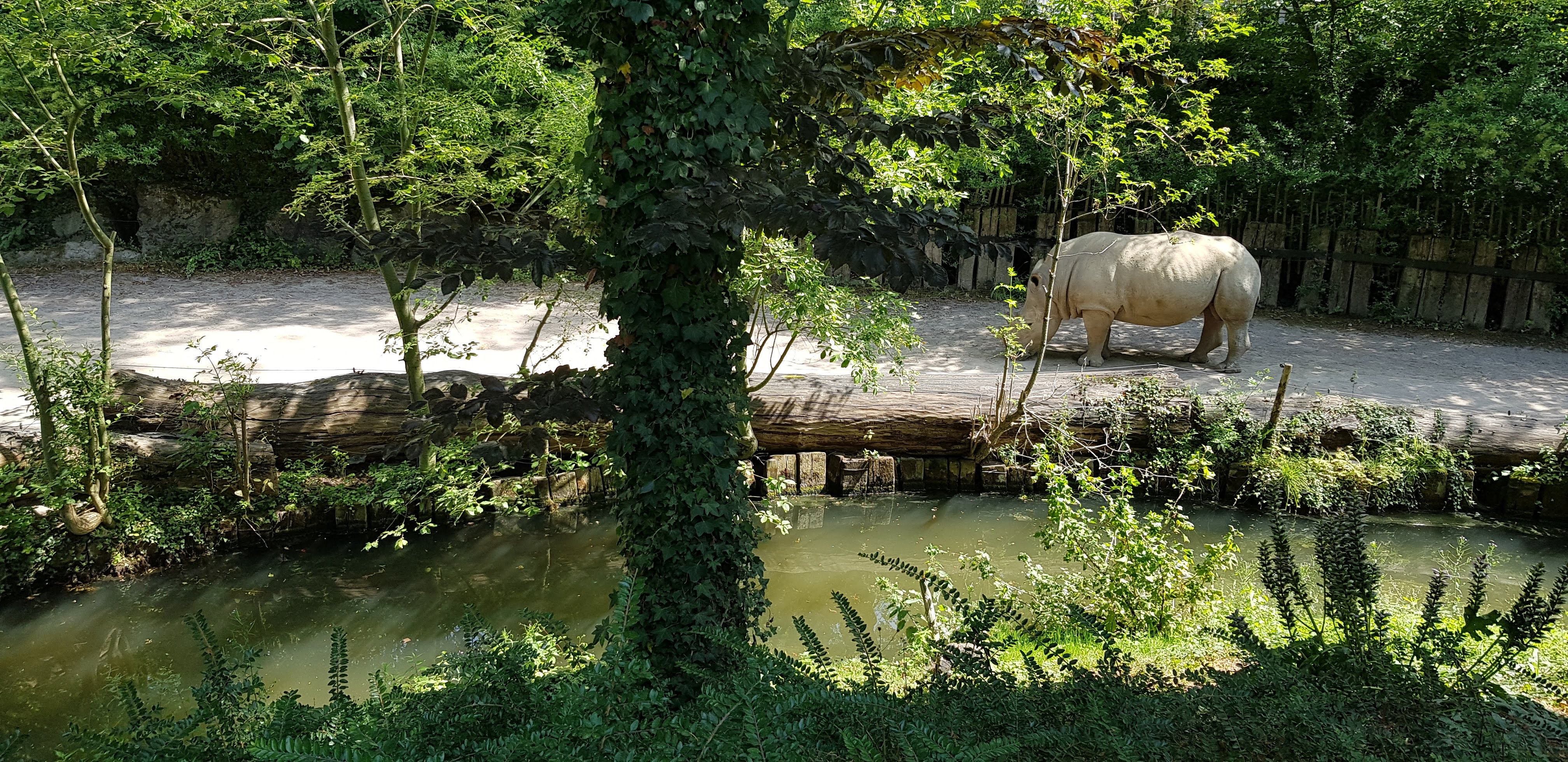 Photo n° 30 de l'avis de Nuk3d.t fait le 13/10/2019 à 18:58