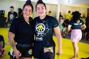 Ct 300 Muay Thai | Jiu-jitsu image