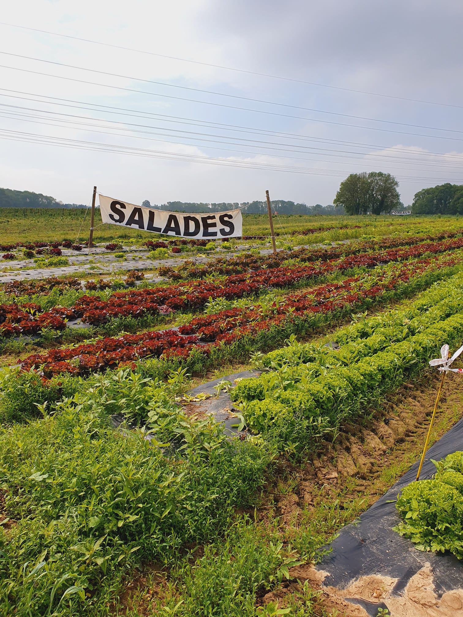 Photo n° 3 de l'avis de Arnaud.o fait le 15/05/2023 à 05:57