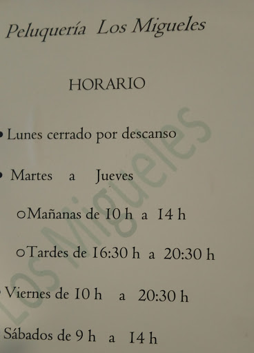 Peluquería los Migueles en Mérida, Badajoz