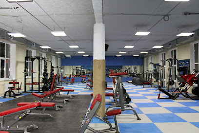 fitness club chain «PLATINUM» - Ulitsa Khol,zunova, 15А, Volgograd, Volgograd Oblast, Russia, 400123