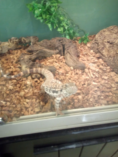 Pet Store «Petsway», reviews and photos, 1717 W Kearney St, Springfield, MO 65803, USA