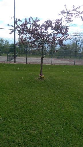 Park «Eastpointe Spindler Park», reviews and photos, 19400 Stephens Rd, Eastpointe, MI 48021, USA