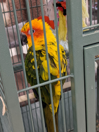 Pet Supply Store «Pet Valu», reviews and photos, 541 S Breiel Blvd, Middletown, OH 45044, USA