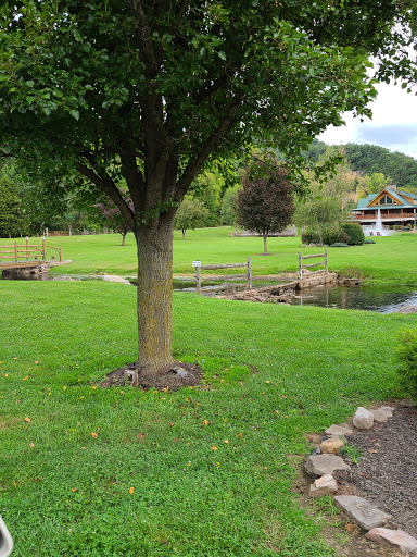 Resort «Smoke Hole Caverns», reviews and photos, 8290 N Fork Hwy, Cabins, WV 26855, USA