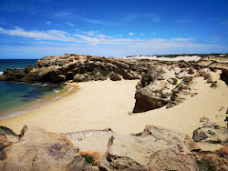 Photo de Shelley Bay situé dans une zone naturelle