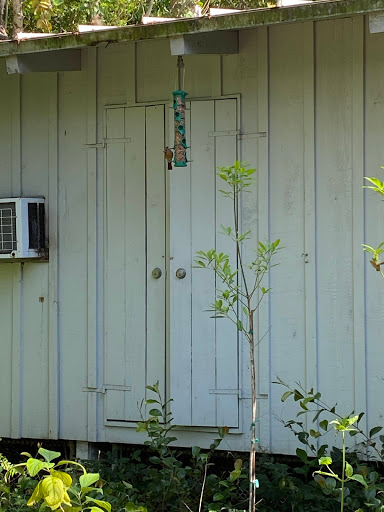 Park «Arch Creek Park», reviews and photos, 1855 NE 135th St, North Miami, FL 33181, USA