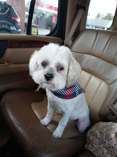 Pet Supply Store «PetSmart», reviews and photos, 2940 Chapel Hill Rd, Douglasville, GA 30135, USA