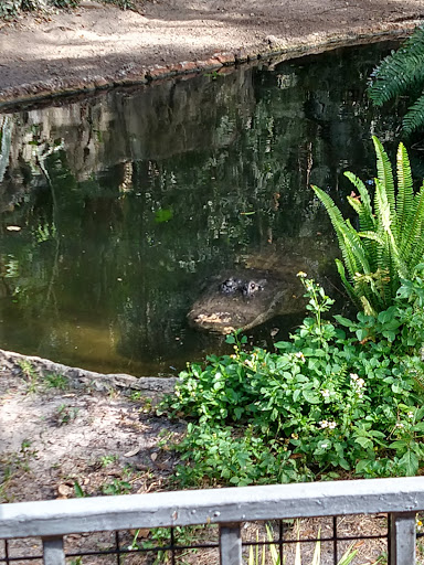 Tourist Attraction «Busch Gardens Main Entrance», reviews and photos, 9449 N 40th St, Tampa, FL 33617, USA