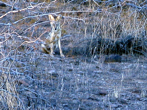 Park «Lookout Mountain Preserve», reviews and photos, 15800 N 16th St, Phoenix, AZ 85022, USA