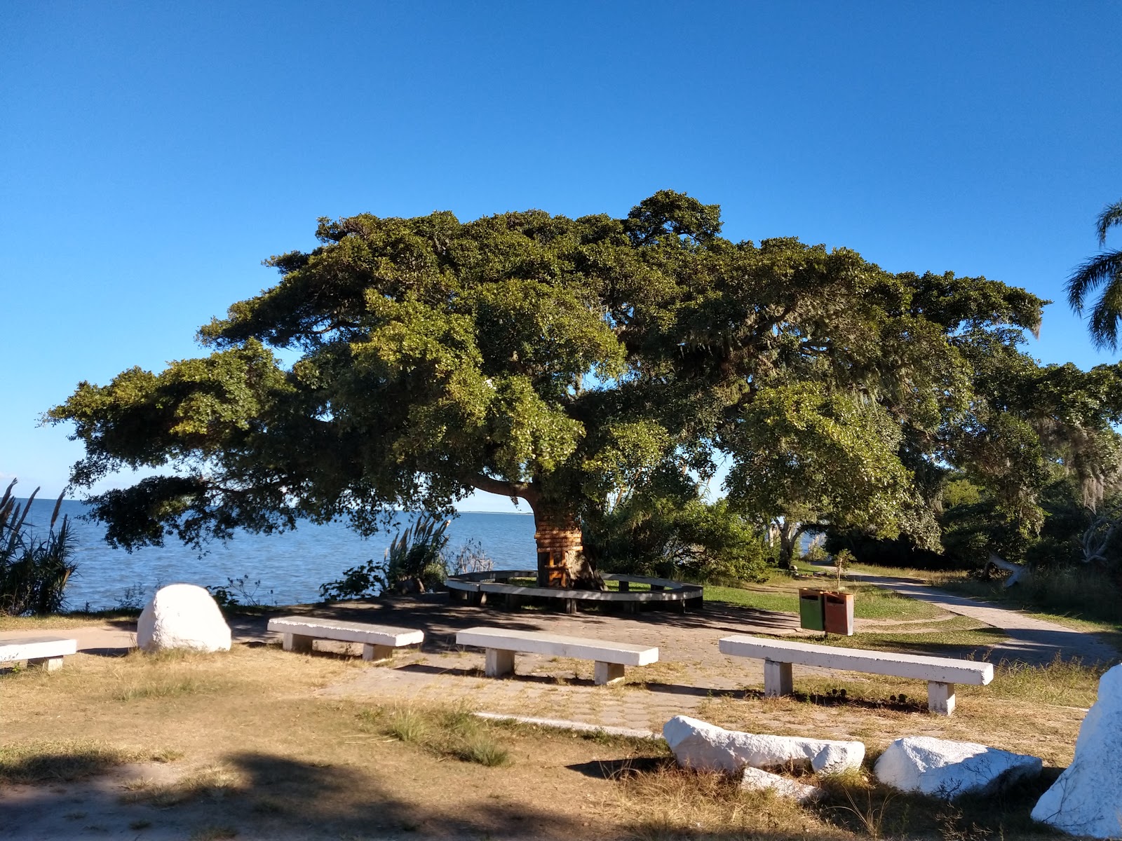 Do Barro Duro Beach photo #7