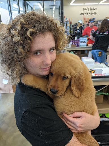 Pet Supply Store «Pet Supplies Plus», reviews and photos, 1155 Washington Pike, Bridgeville, PA 15017, USA