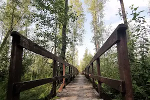 Nature trail "Spławy" image
