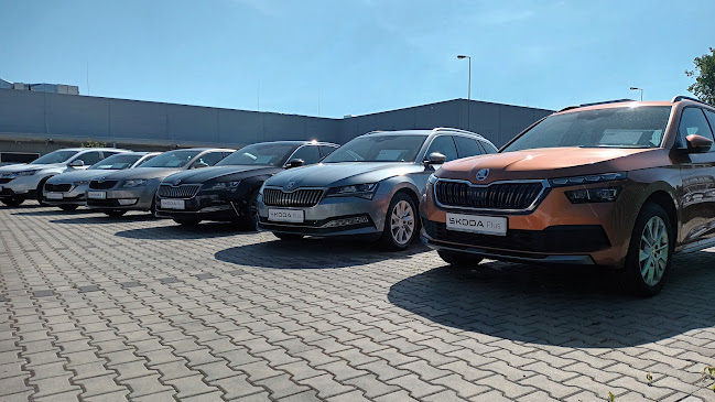 Samochody Używane Lublin | Żagiel Auto - Lublin