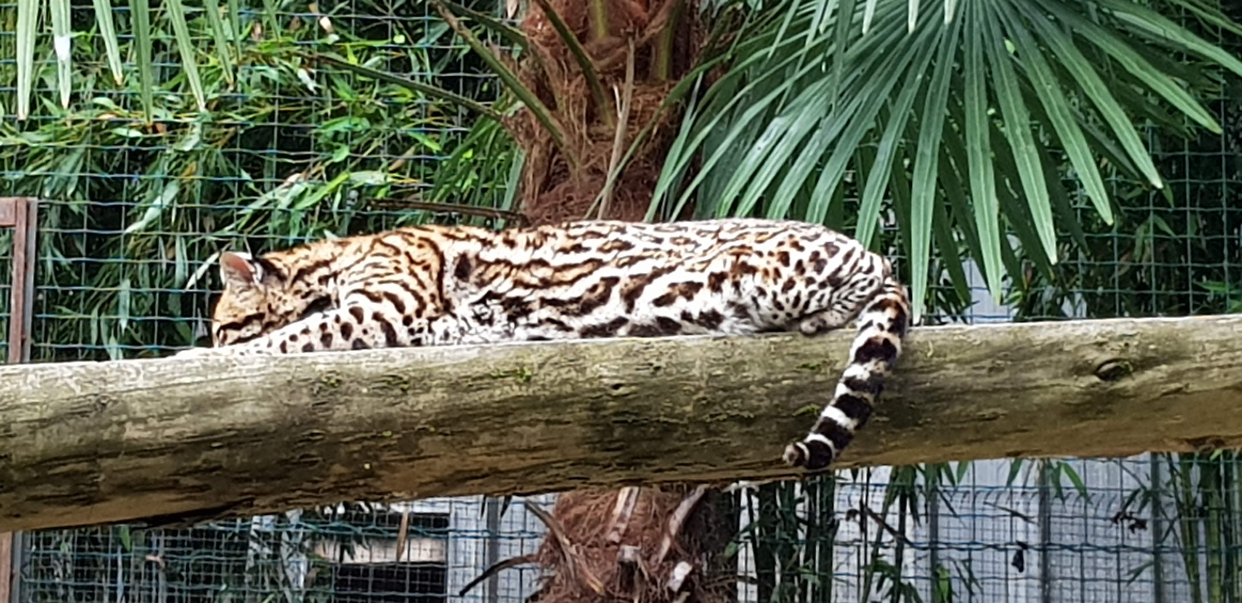 Photo n° 5 de l'avis de Frederic.a fait le 16/06/2023 à 07:23