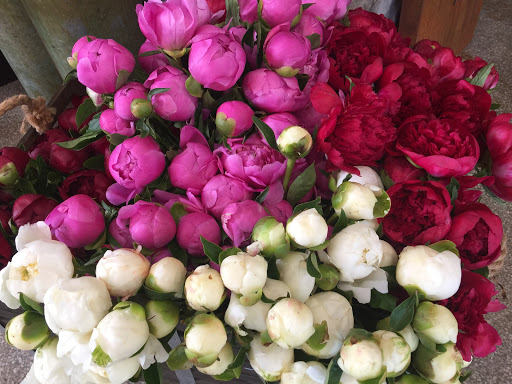 Florist «Jephry Flower Studio», reviews and photos, 432 Broadway, Providence, RI 02909, USA