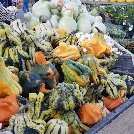 Garden Center «Nalls Produce», reviews and photos, 7310 Beulah St, Alexandria, VA 22315, USA