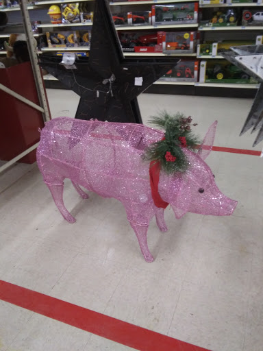 Home Improvement Store «Tractor Supply Co.», reviews and photos, 6015 S Transit Rd, Lockport, NY 14094, USA