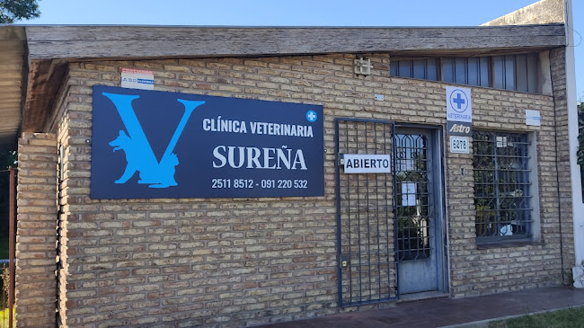 Clínica Veterinaria sureña